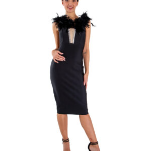 Sleeveless sheath dress with feathers